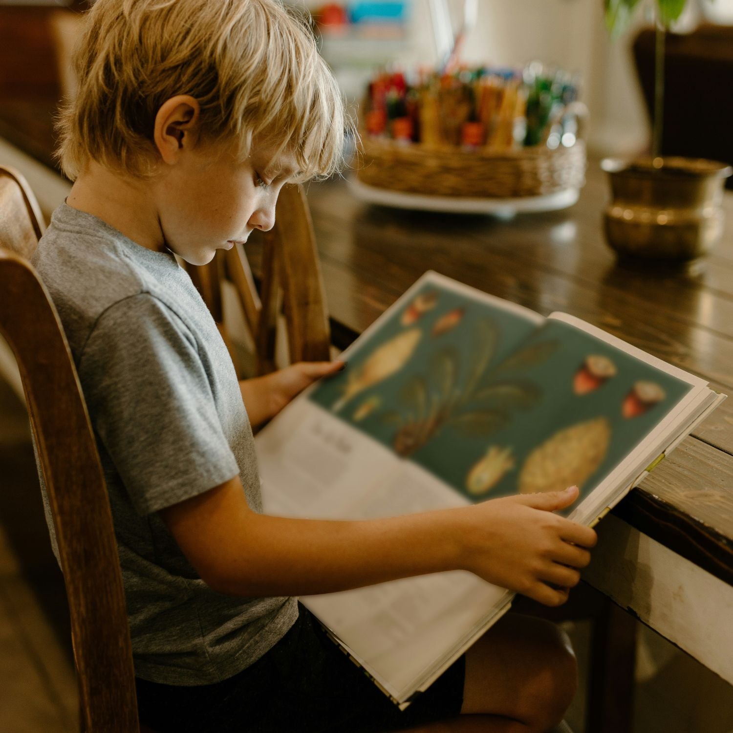 Child reading a book with illustrations of plants in a home setting