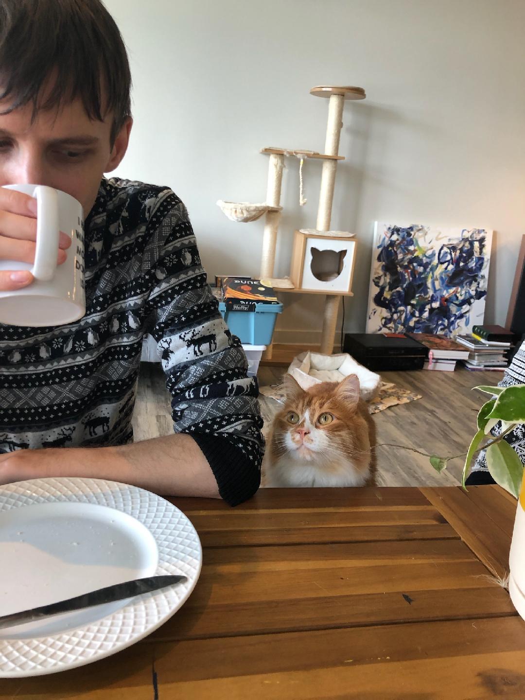 Person sitting at a table with a cat on a wooden surface, holding a mug.